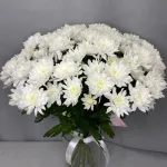 Букеты