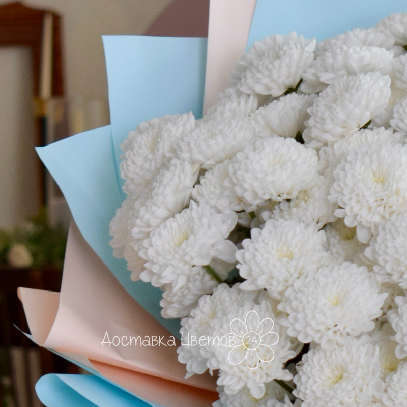 «Пушистое облако» 1