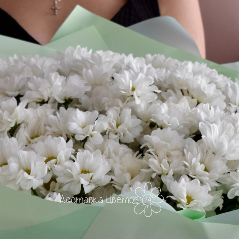 «Светлая мысль» 1