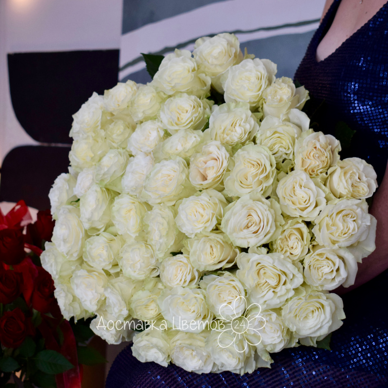 «Лунное сияние»