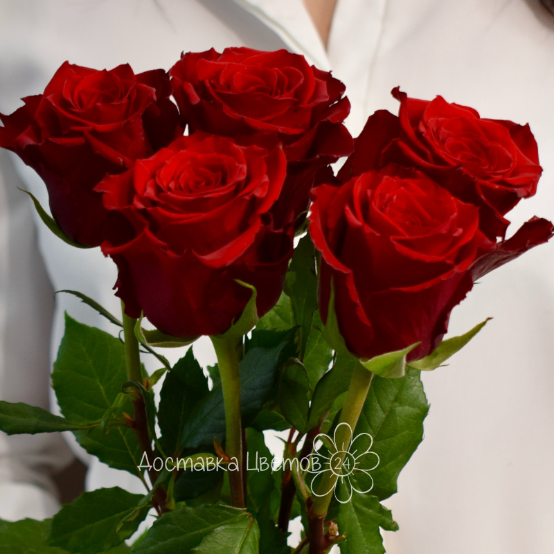 Букет из 5 красных роз 1