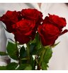 Букет из 5 красных роз 1