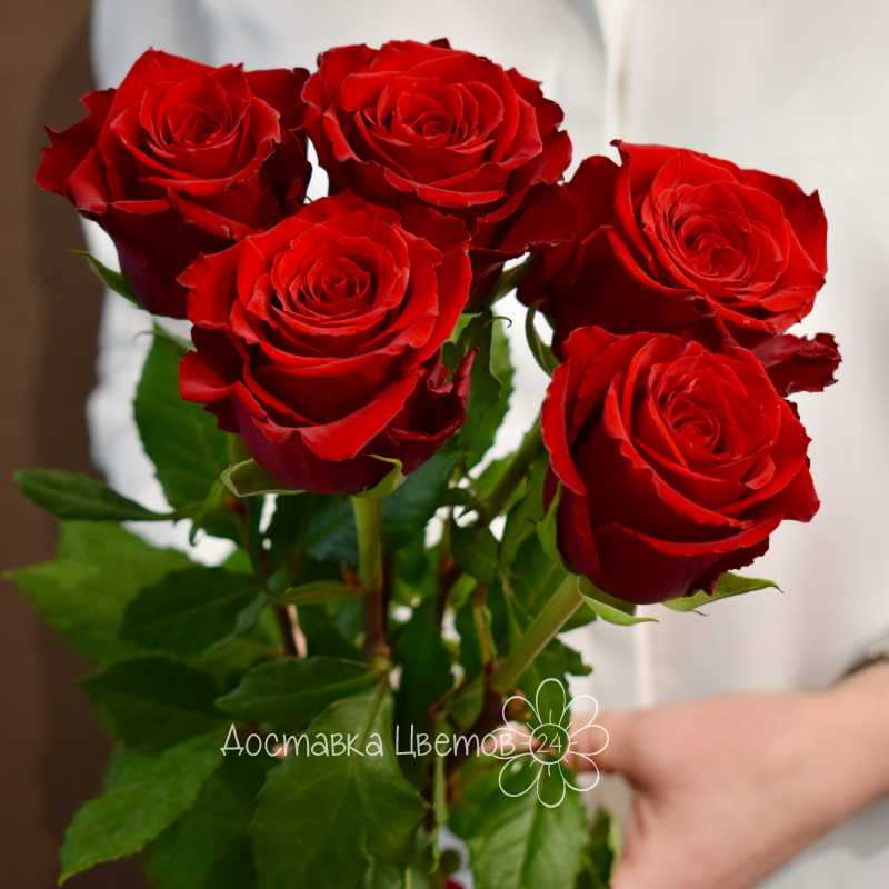Букет 5 красных роз 