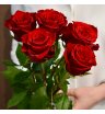 Букет 5 красных роз 