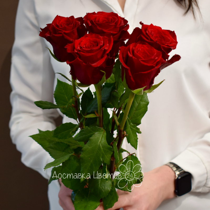 Букет из 5 роз красных 1