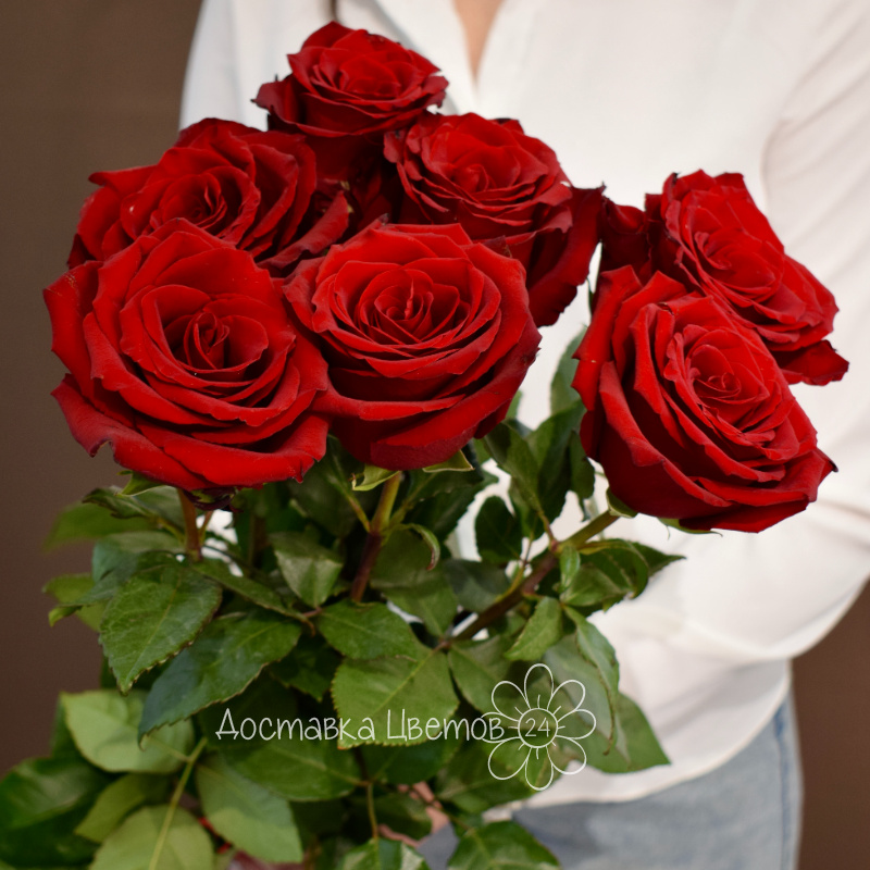 Букет 7 красных роз