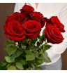 Букет 7 красных роз
