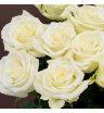 Букет из 11 роз белых 1