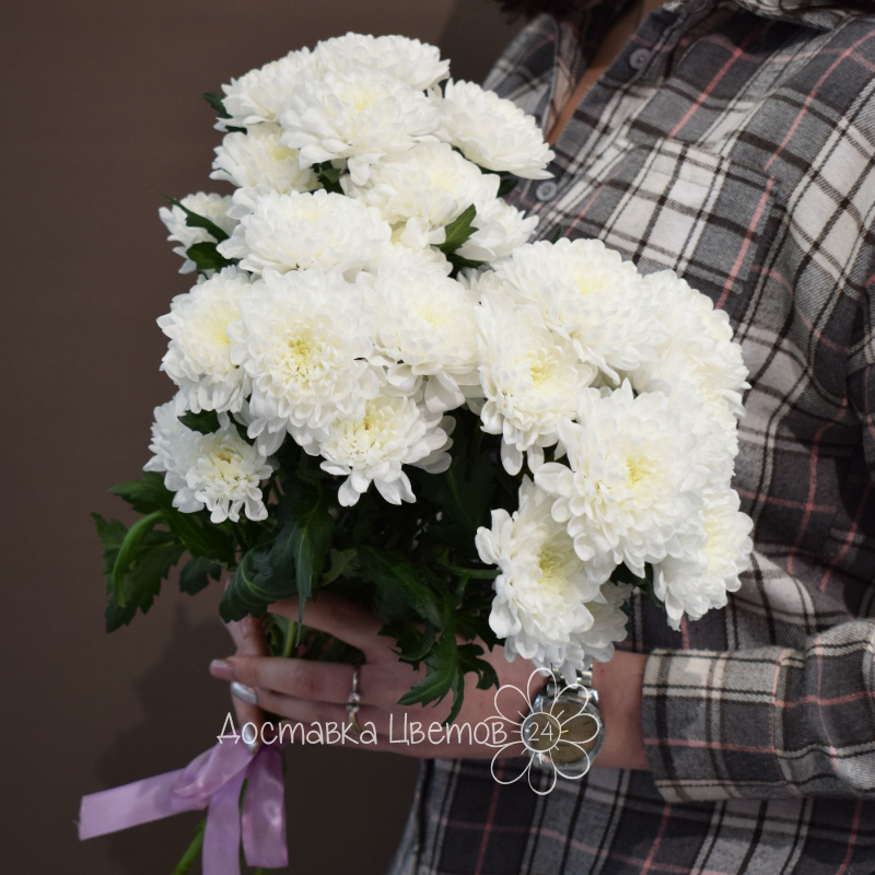 Букет из 3 белых хризантем