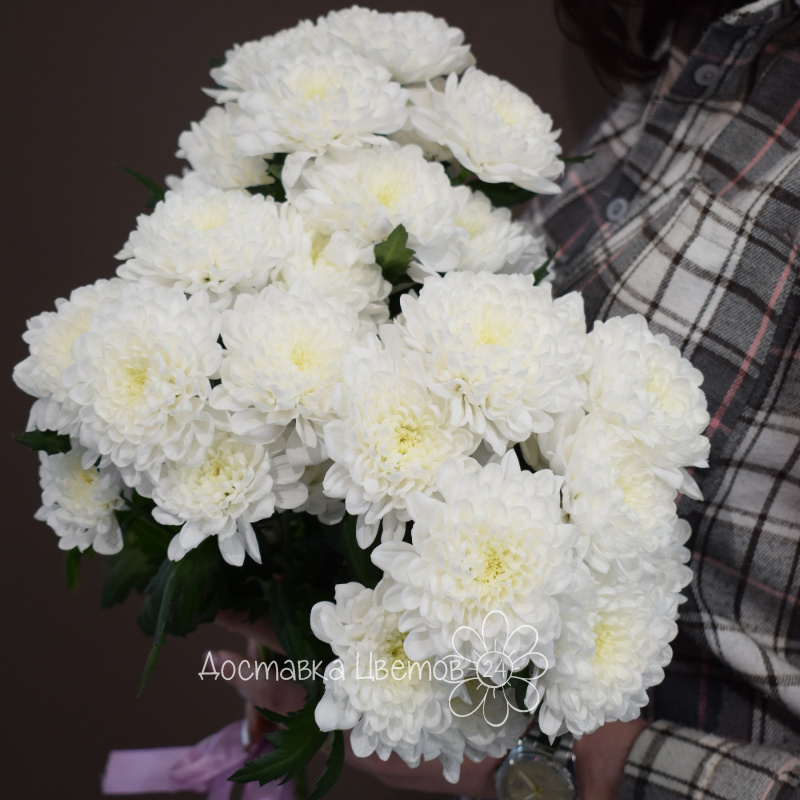 Букет из 3 белых хризантем 1