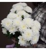 Букет из 3 белых хризантем 1