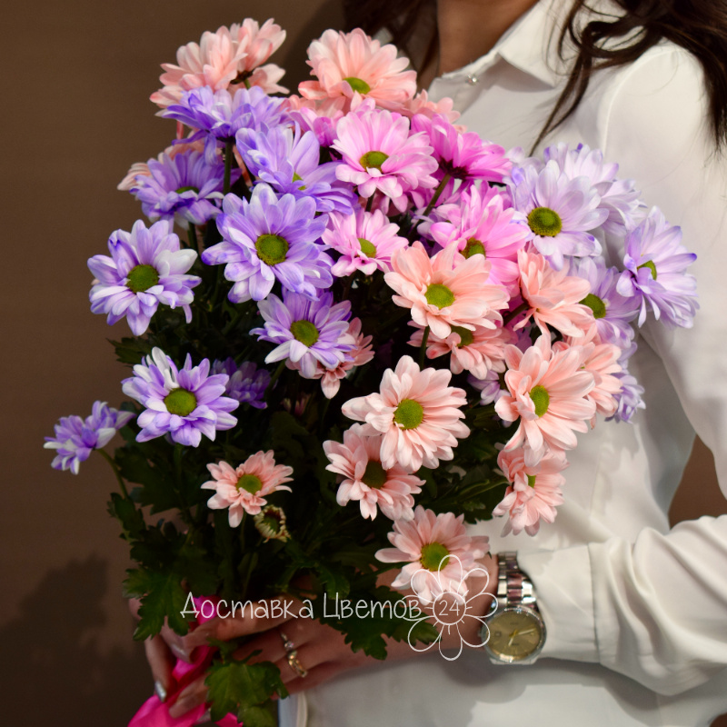 Букет из 5 цветных хризантем  1