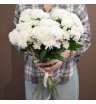 Букет 5 белых хризантем
