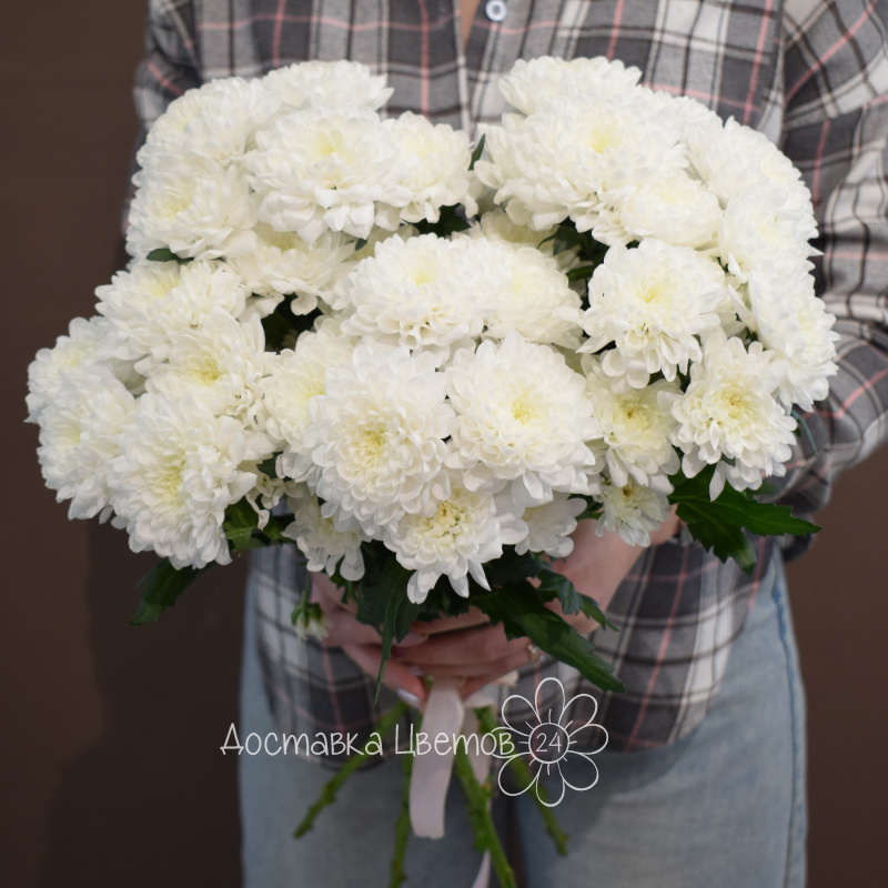 Букет 5 белых хризантем 2