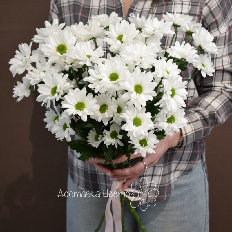 Букет из 5 хризантем белых