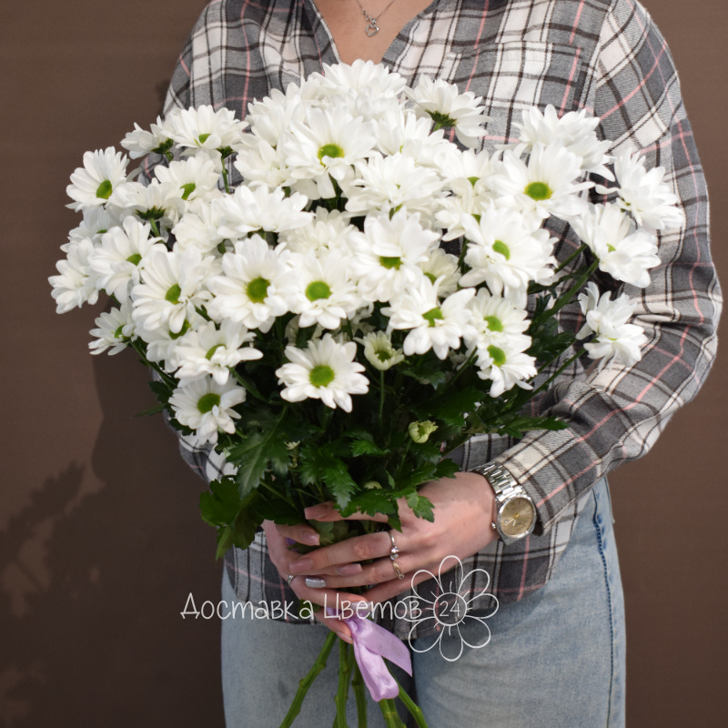Букет из 7 хризантем белых