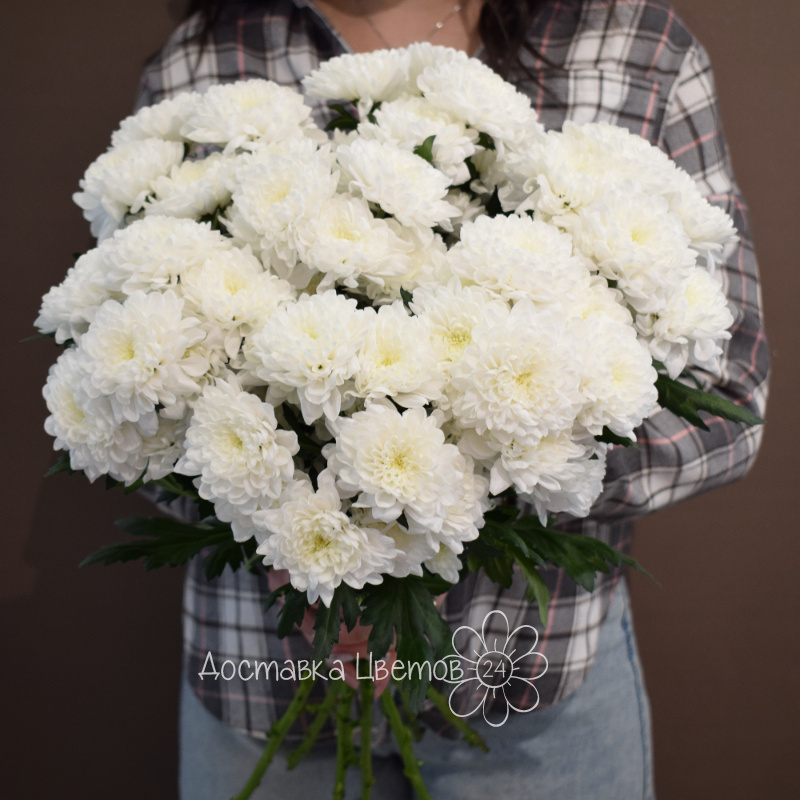 Букет 7 белых хризантем 1