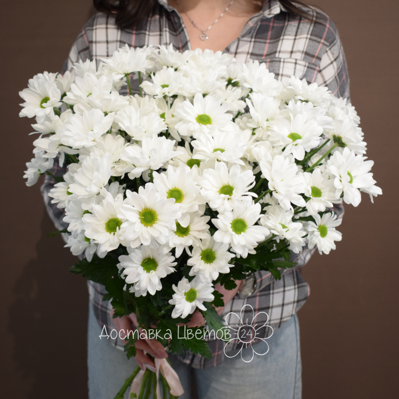 Букет из 9 белых хризантем
