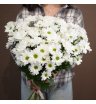 Букет из 9 белых хризантем