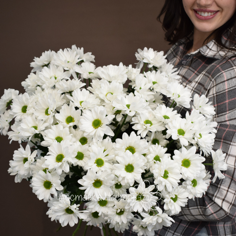 Букет из 9 белых хризантем 1