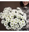 Букет из 9 белых хризантем 1