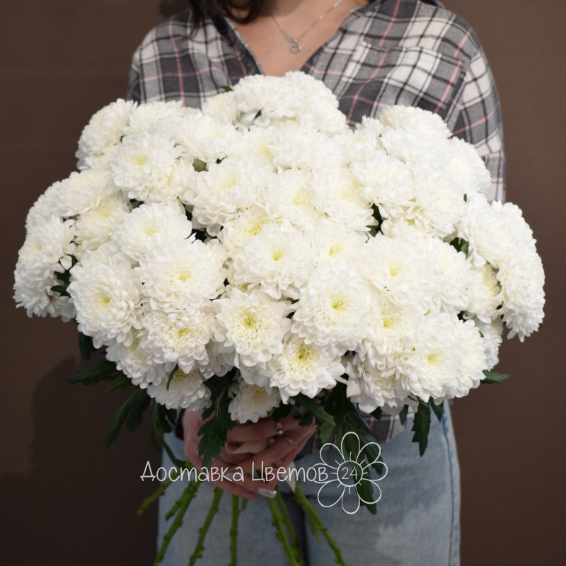 Букет из 9 хризантем белых