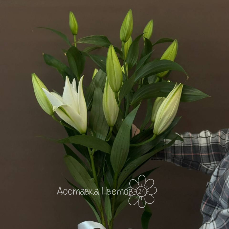 Букет  &laquo; Комплимент&raquo;