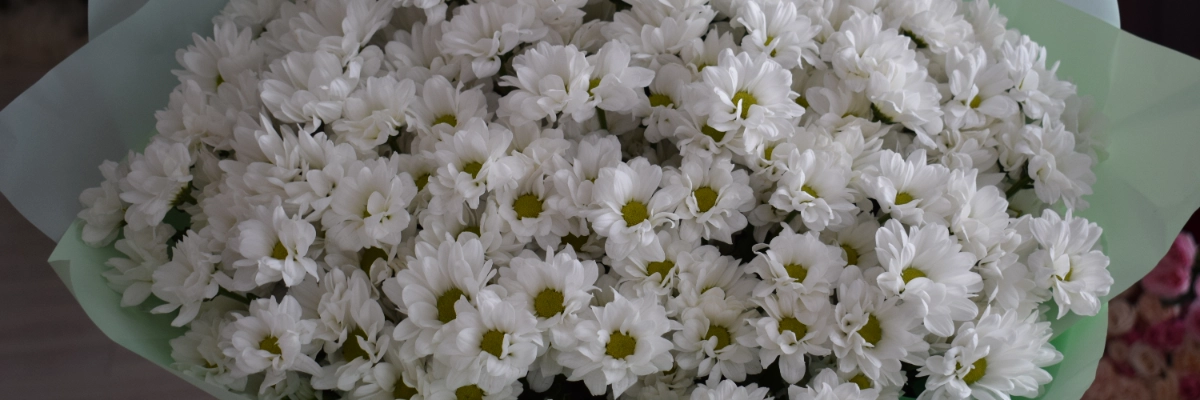 Розыгрыш к Дню Матери ВКОНТАКТЕ!