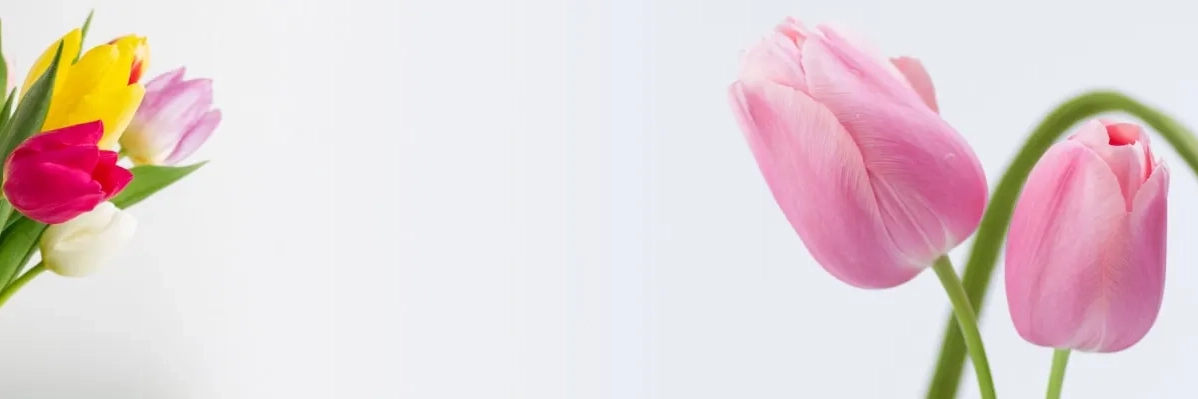 с 6 по 8 марта доставка в течении дня